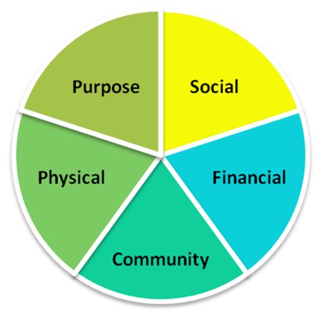 Gallup 5 pillars of well being pie chart